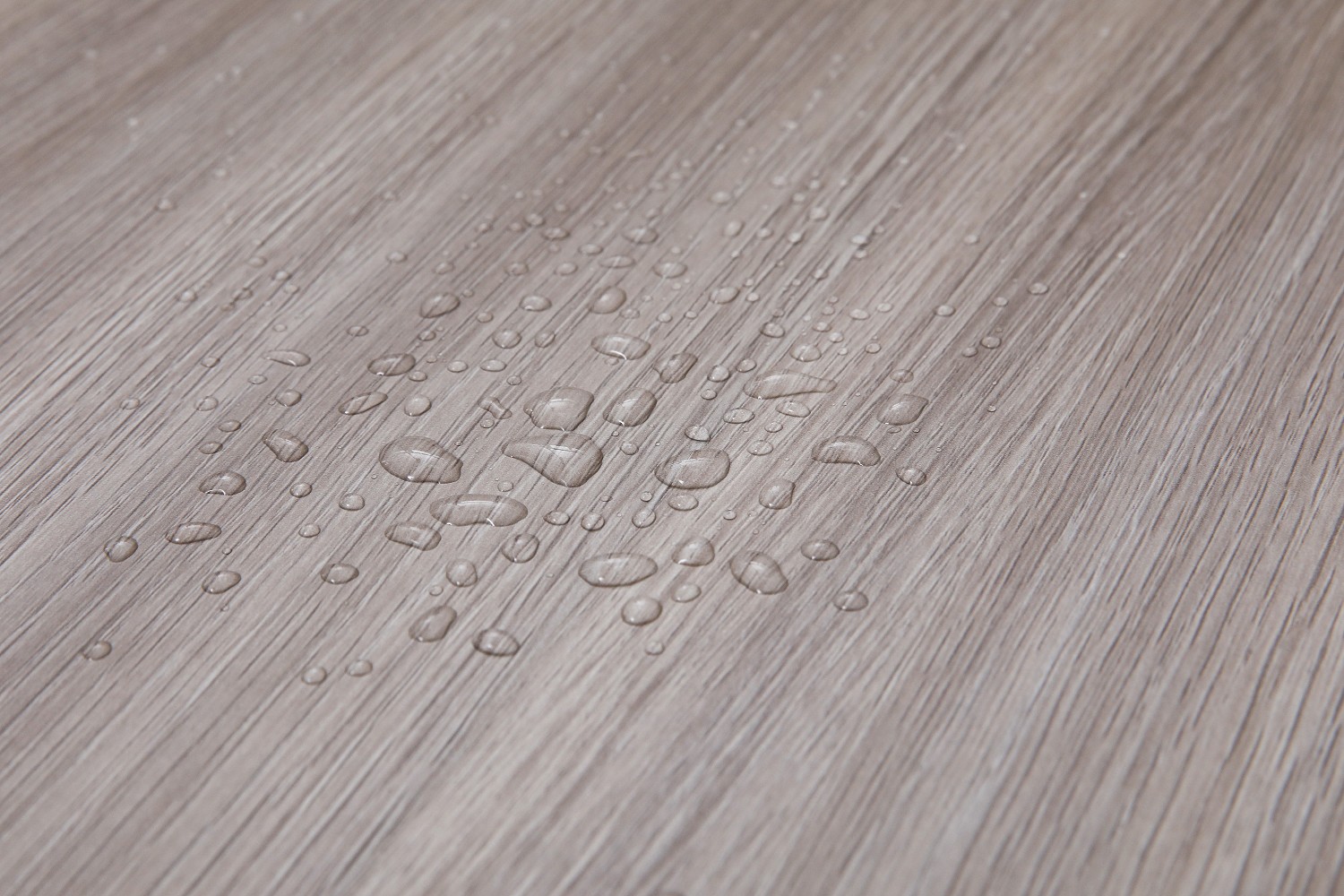 _H4A7022_眸目压缩