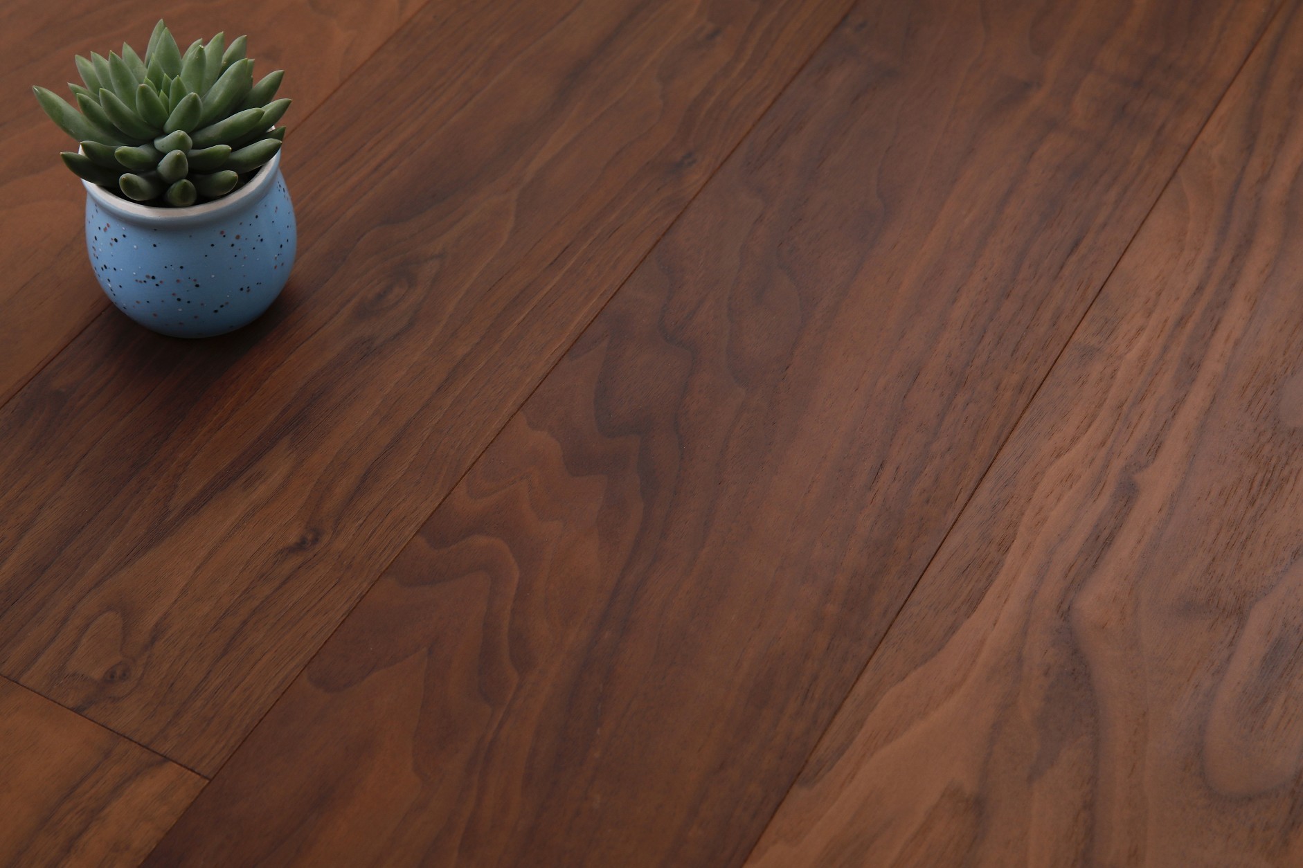 _H4A8008_眸目压缩_眸目压缩