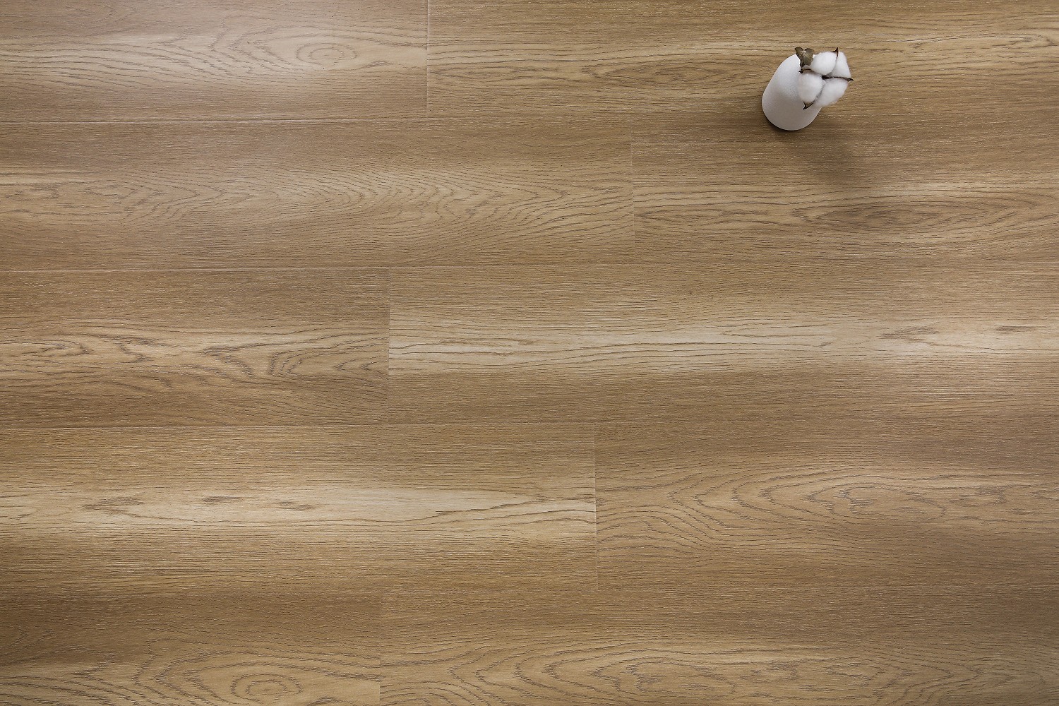 _H4A7243_眸目压缩