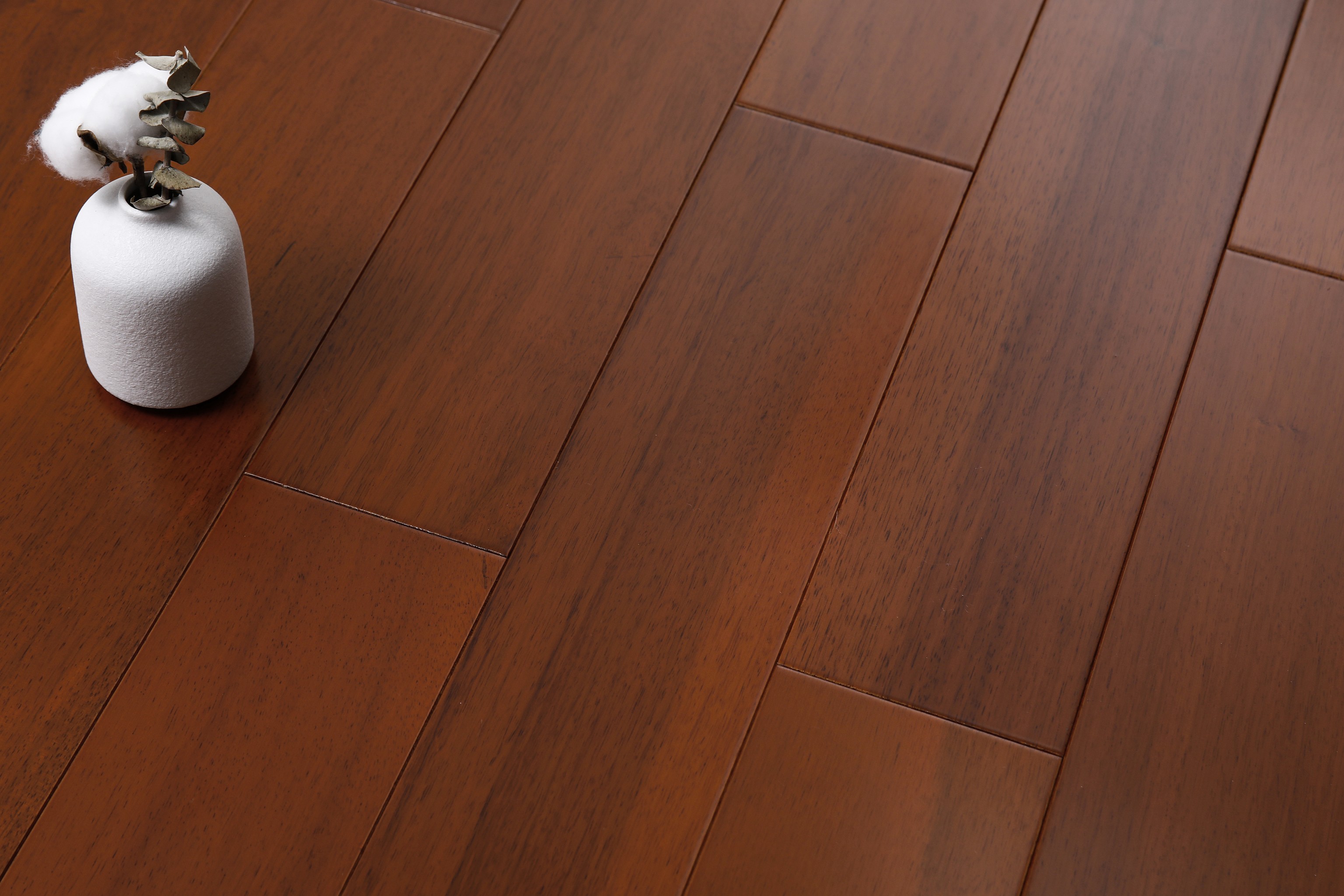 _H4A0623_眸目压缩